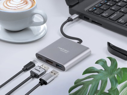 NATEC Fowler Mini USB 2.0 Type-C Grigio