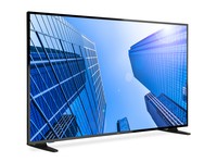 MON LED 55 NEC E557Q