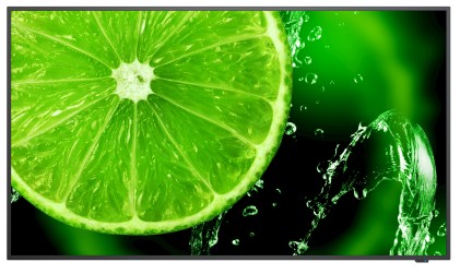 Mon 65"Va Nec Uhd Vga 3Hdmi 4K Mm Nec E658