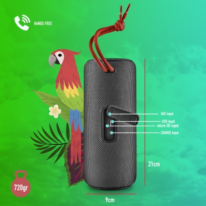 Ngs Cassa Acustica Resistente Allacqua, Bluetooth 5.0, Wireless, 20W, 12Ore, Fino A 10 Metri, Nero