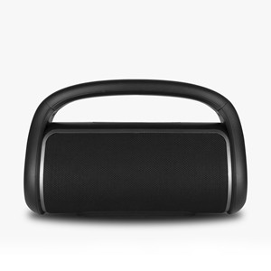 NGS ELEC-SPK-0391 altoparlante portatile