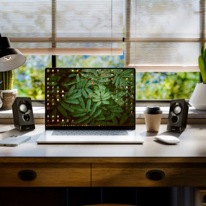 Ngs Altoparlanti Per Pc Da 12W Con Connessione Usb