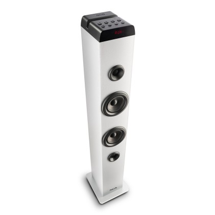 Ngs Altoparlante Wireless, 50W, Bluetooth 5,4, Usb Aux Ottico Radio Fm, Display Led E Custodia In Le