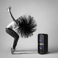 Ngs Cassa Bluetooth Portatile 200W Usb/Aux/Radio Fm