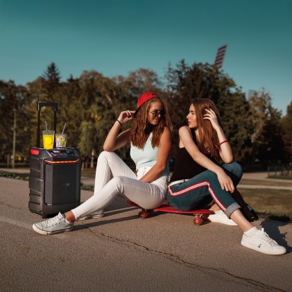 Ngs Wild Bash: Altoparlante Premium Portatile Da 300W Compatibile Con Tecnologia Bluetooth/Usb/Aux.