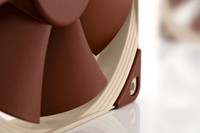 Noctua NF-F12 Ventola da 120mm PWM