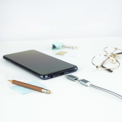 Nanocable 10.02.0011 adattatore per inversione del genere dei cavi USB C Micro USB Grigio