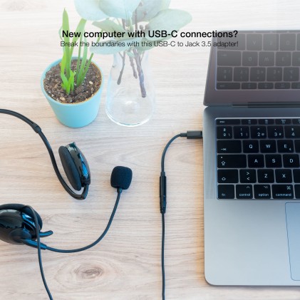 Nanocable 10.24.1205 cavo audio 0,11 m 3,5 mm USB C Nero