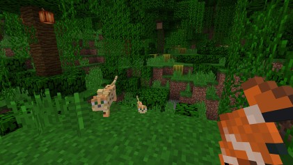 Nintendo Minecraft Standard Nintendo Switch