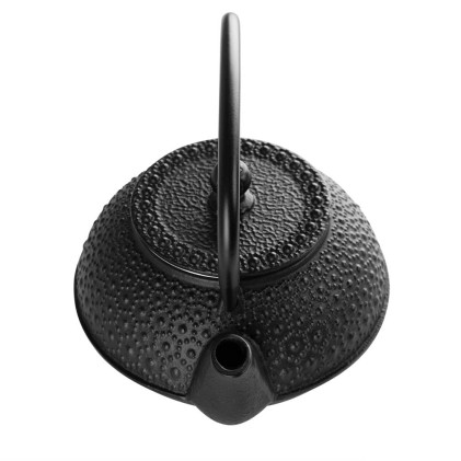 Orbegozo TTH 500 teiera Teiera singola 500 ml Nero