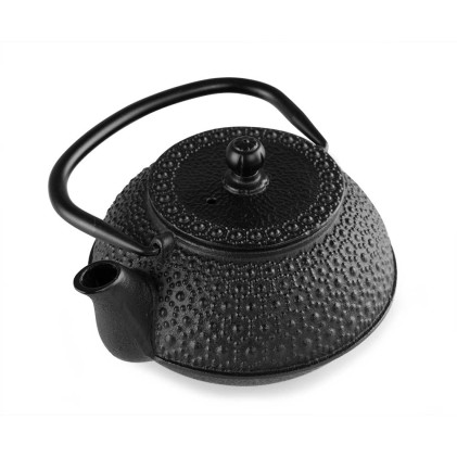 Orbegozo TTH 500 teiera Teiera singola 500 ml Nero