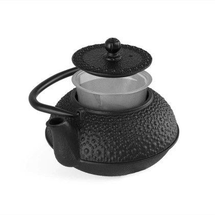 Orbegozo TTH 500 teiera Teiera singola 500 ml Nero