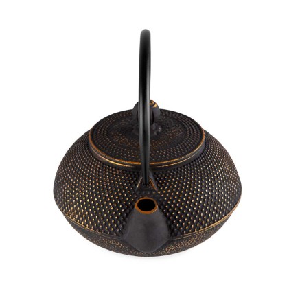 Orbegozo TTH 800 teiera Teiera singola 800 ml Marrone