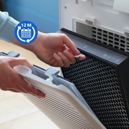 Filtro Purificatore Fy2420/30 Pm2.5 0,02Micron Virus Fy2420/30