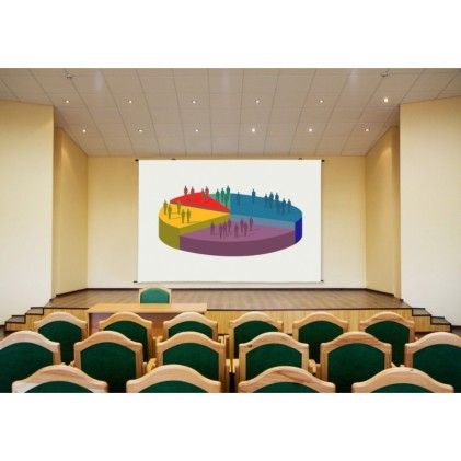 Telo Provis 400X300 Videomot Motorizzato Power Max