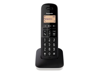 Telefono Cordless Pan Tgb610 Bianco Ora/Id Chi./Rubrica 50 Num/18 Ore