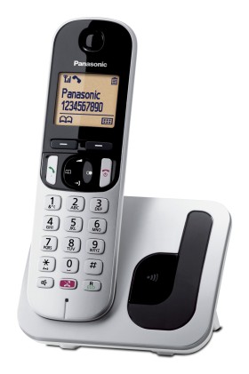 Telefon0 Cordless Pan Tgc250 Silver Gap Vivav/16Ore/Id Chi./Rubrica 50N
