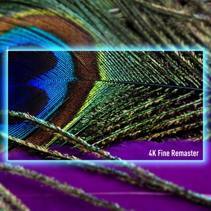 Tv 55 Pan 4K Uhd  Smart Firetv Lan Dvt2 Dvbs2 Farray Italia