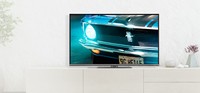 TV LED 24   Panasonic TX-24GS350E