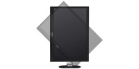 Philips Monitor 24" Led Ips 16:10 1920 X 1200 250 Cd/M