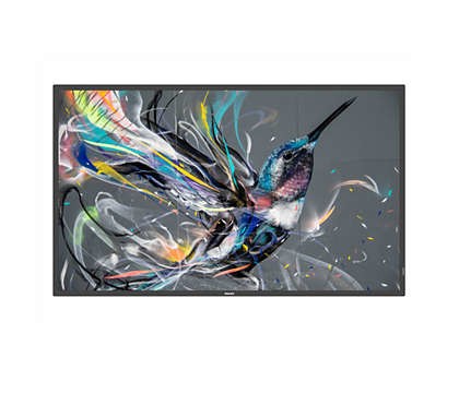 Philips Monitor Digital Signage 50 Led Q-Line 16:9 4K Uhd 8Ms 400 Cdm, Vga/Dvi/Hdmi, Lan, 18/7,  An