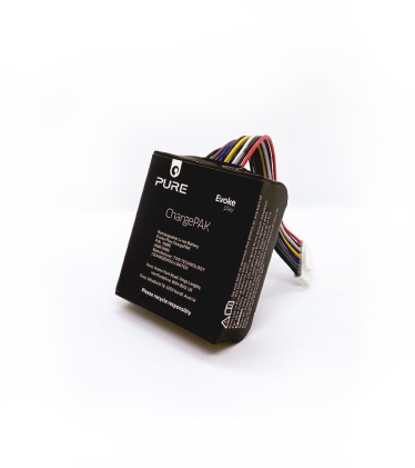 Batteria Dedicata Pure 250179 Chargepak Evoke Play