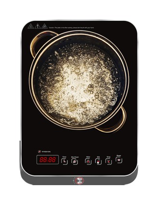 Piastra Induzione R. G. V. 110180 Turbo 2000