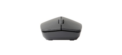 Rapoo M100 Silent mouse Ufficio Ambidestro RF senza fili + Bluetooth Ottico 1000 DPI