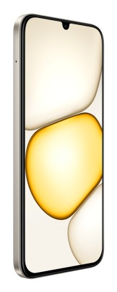 Realme C100X 4/256Gb Golden