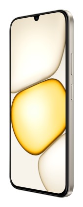 Realme C100X 4/256Gb Golden