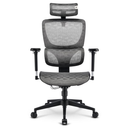 Sharkoon Sedia Office Fabric Seat Base 4D Armrest 5 Heights Adjustable  Max Weight Capacity 150Kg