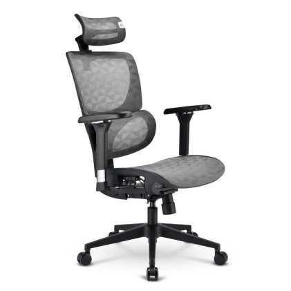 Sharkoon Sedia Office Fabric Seat Base 4D Armrest 5 Heights Adjustable  Max Weight Capacity 150Kg