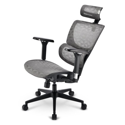Sharkoon Sedia Office Fabric Seat Base 4D Armrest 5 Heights Adjustable  Max Weight Capacity 150Kg