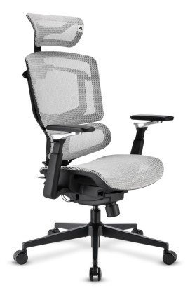 Sharkoon Sedia Office Fabric Seat Mesh 4D Armrest 5 Heights Adjustable  Max Weight Capacity 150Kg
