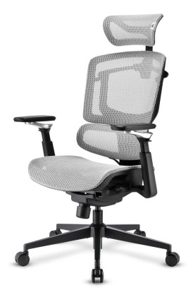 Sharkoon Sedia Office Fabric Seat Mesh 4D Armrest 5 Heights Adjustable  Max Weight Capacity 150Kg