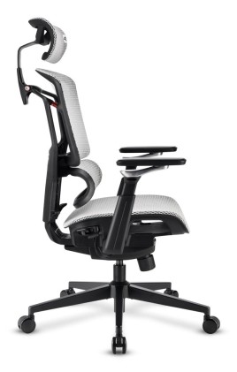 Sharkoon Sedia Office Fabric Seat Mesh 4D Armrest 5 Heights Adjustable  Max Weight Capacity 150Kg