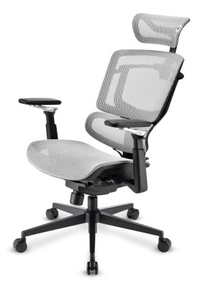 Sharkoon Sedia Office Fabric Seat Mesh 4D Armrest 5 Heights Adjustable  Max Weight Capacity 150Kg