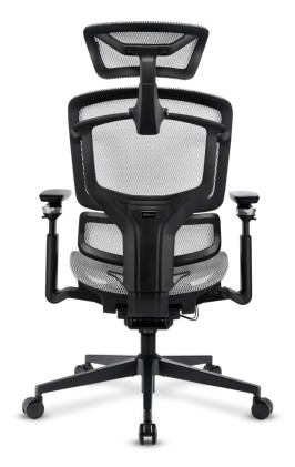 Sharkoon Sedia Office Fabric Seat Mesh 4D Armrest 5 Heights Adjustable  Max Weight Capacity 150Kg
