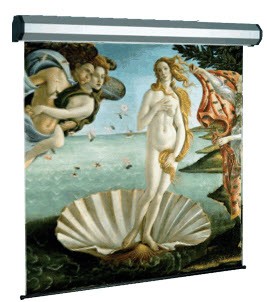 Schermo Proiezione Sopar 5300Ht Electric Professional 300X300 Motorizz