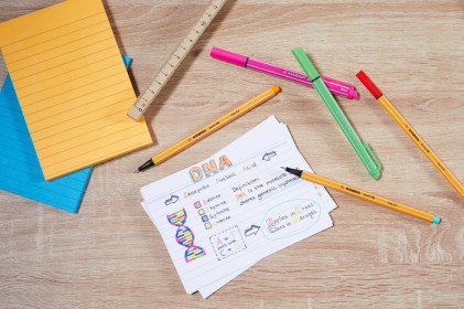 STABILO 4006381493246 non classificato