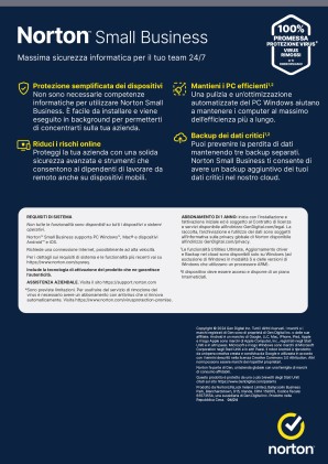 Norton Small Business 1User 6 Dev 250Gb Backup 12 Mesi