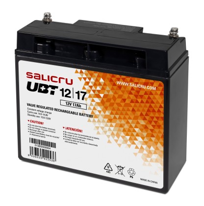Salicru 013BS000004 batteria UPS Acido piombo (VRLA) 12 V 17 Ah