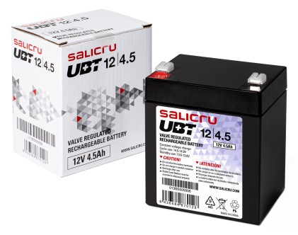 Salicru 013BS000006 batteria UPS Acido piombo (VRLA) 12 V 4,5 Ah