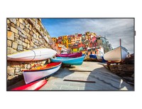 Mon 49"Ds Ips Mm 500Nit 4000:1 Fhd Vga Dvi Hdmi