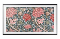 TV LED 49   Samsung QE49LS03RAUXZT