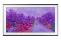 TV LED 43   Samsung UE43LS03NAUXZT