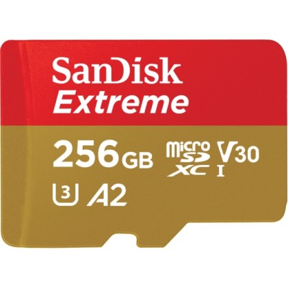 Scheda Di Memoria Sandisk Sdsqxa1-256G-Gn6Ma Extreme 256Gb Microsd
