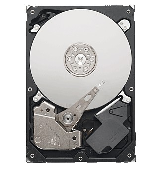 Hard disk 3,5 1Tb Seagate ST1000VM002