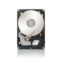 HD 3,5 3TB SEAGATE ST3000DM001