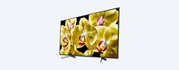 TV LED 65 Sony KD-65XG8096B